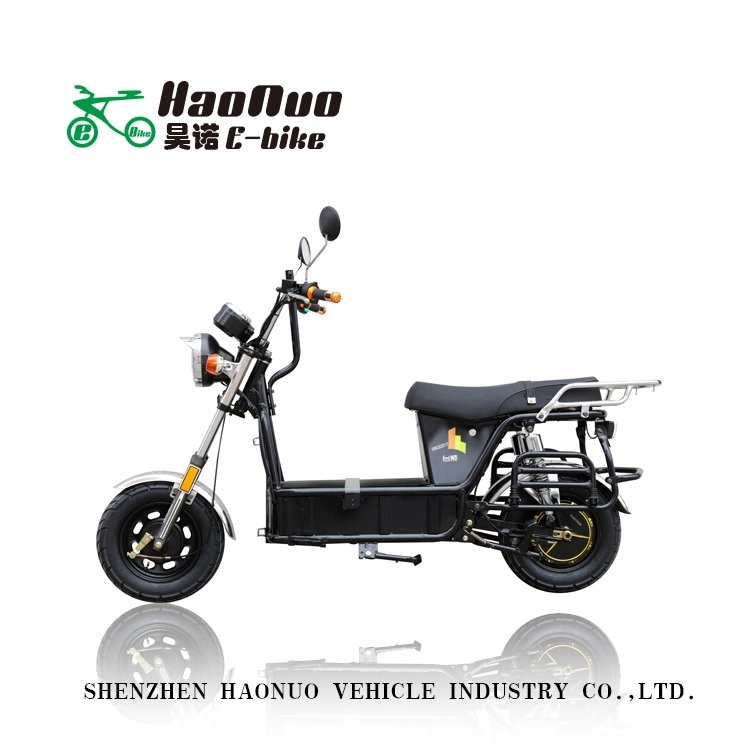 800W 60V Electric Ebike for Adults