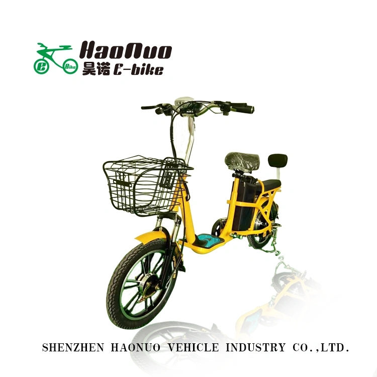 16 Inch 350 watt Electric Bike