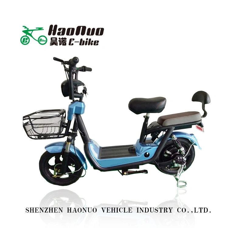 14 Inch 48V 350 watt Electric Bike