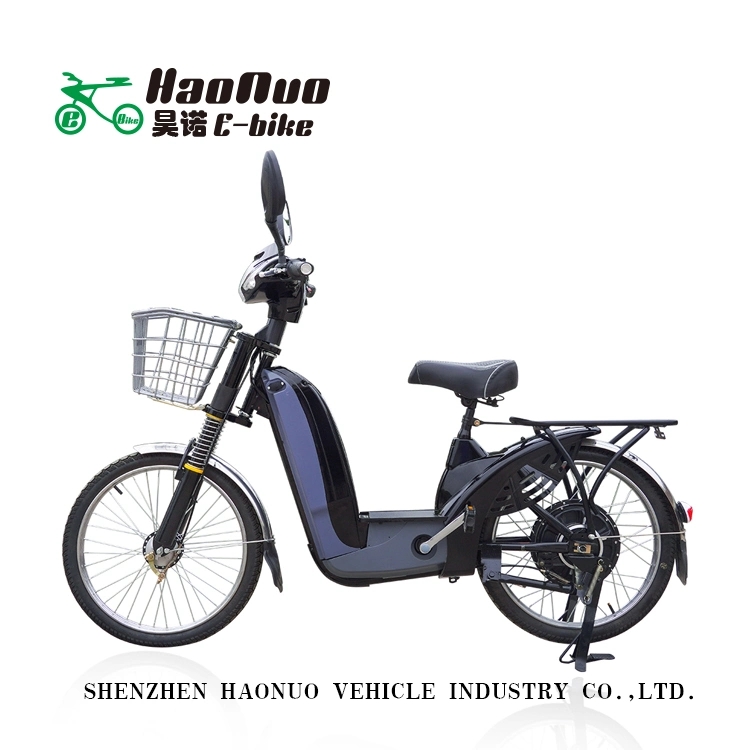 2022 New Model Hot Sell 22 Inch 48V 350watt Blw Electric Bik